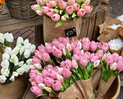 others: The Smiths, David Bowie, Laufey, Beabadoobee, Olivia Rodrigo, Chapell Roan, Kidd Voodoo, Akriila, Avril Lavigne, One Direction, The Living Tombstone